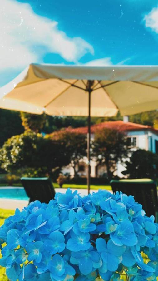 The River House - Termas Guesthouse Termas de Sao Pedro do Sul Luaran gambar
